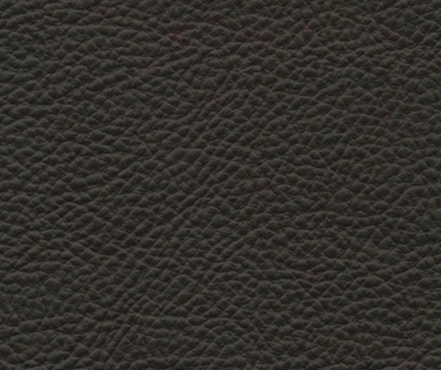 Armlehnstuhl Liz B Leder Ardesia Sc 29 Braun Struktur Buchenholz