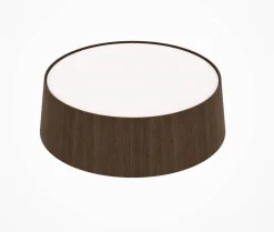 Couchtisch Planck Tischplatte Glas Geätzt Halbtransparent Korpus Rosewood Mutilaminar Holz