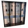 Doppel-Vitrine Vita Türen Glas Rahmen Aluminium Lack Außen Schwarz Rückwand MDF Grau Weiß Mit Beleuchtung