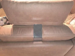 Ecksofa Livingston Stoff 0877 19 Braun Fuß Eiche Geölt Inklusive Kissen