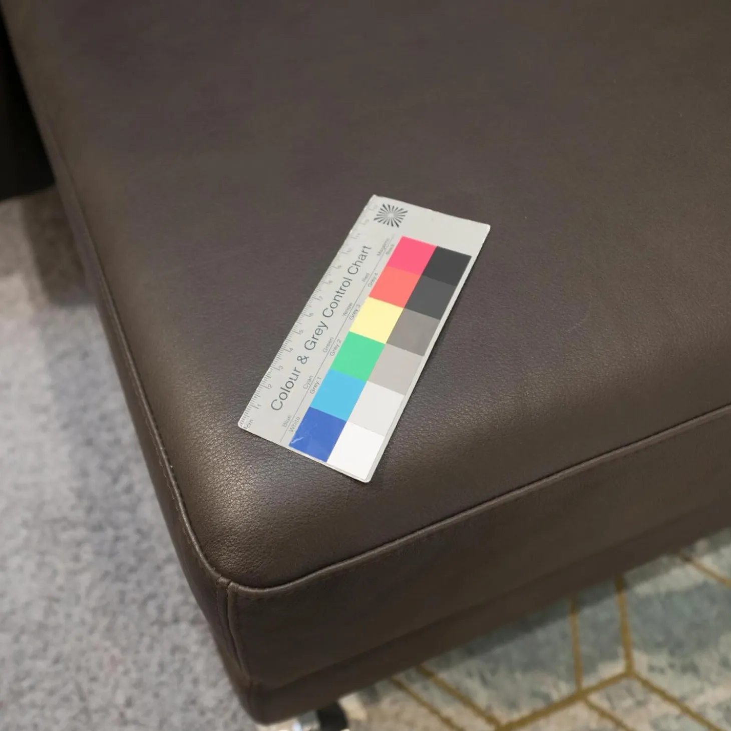 Ecksofa Moule Leder Taron 5668 0022 Braun Kufen Chrom Verstellbar