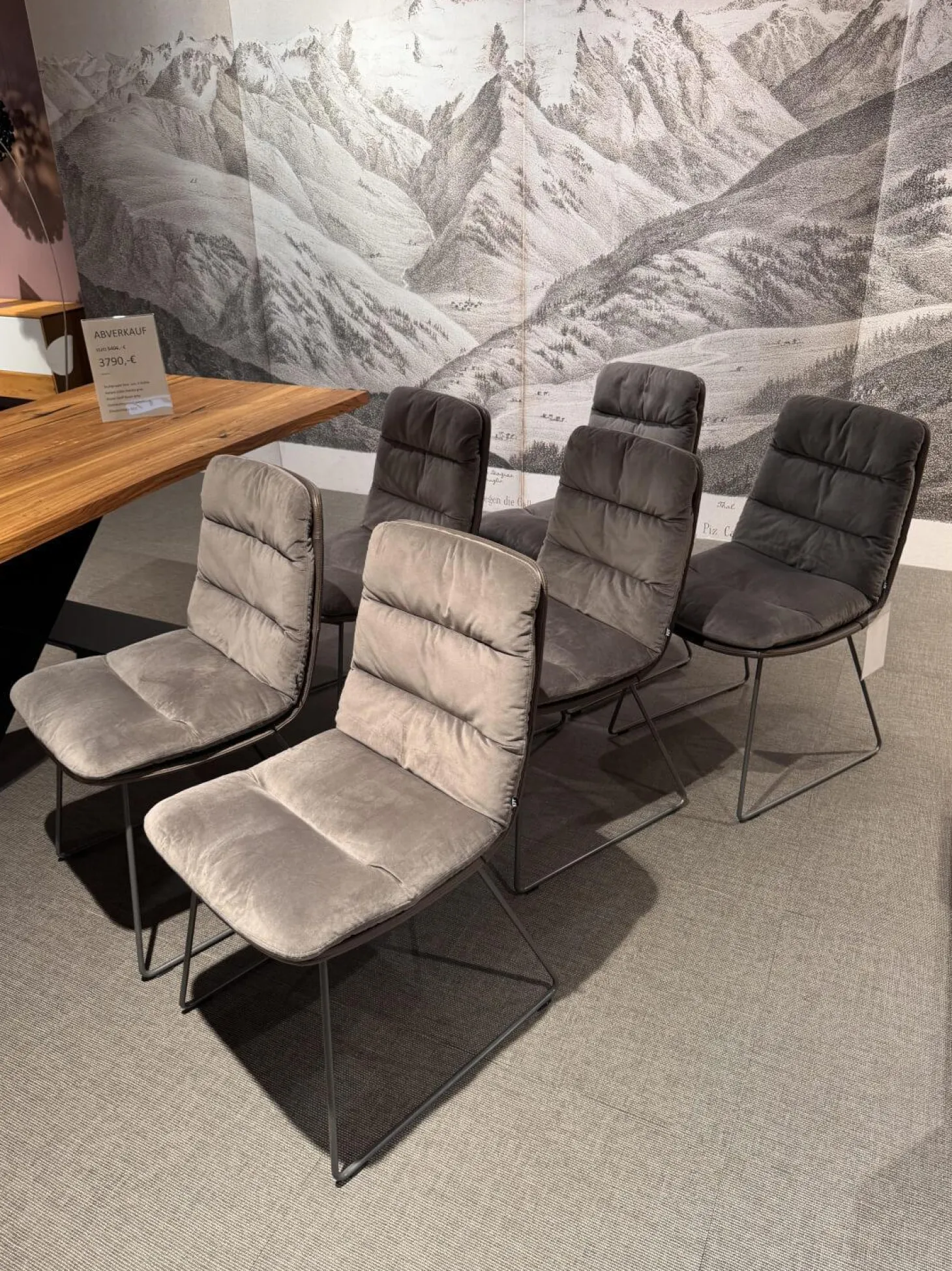 6er Set Stuhl Arva Leder Dakota 6006 Grey Drahtkufengestell Metall Eisenblank Grau Lackiert