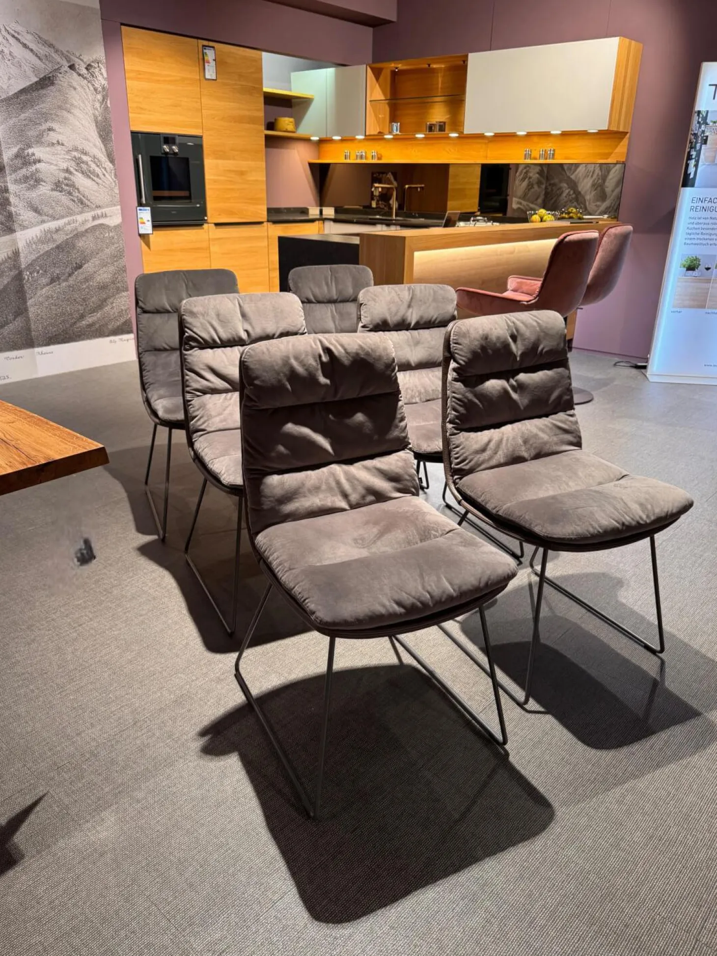 6er Set Stuhl Arva Leder Dakota 6006 Grey Drahtkufengestell Metall Eisenblank Grau Lackiert