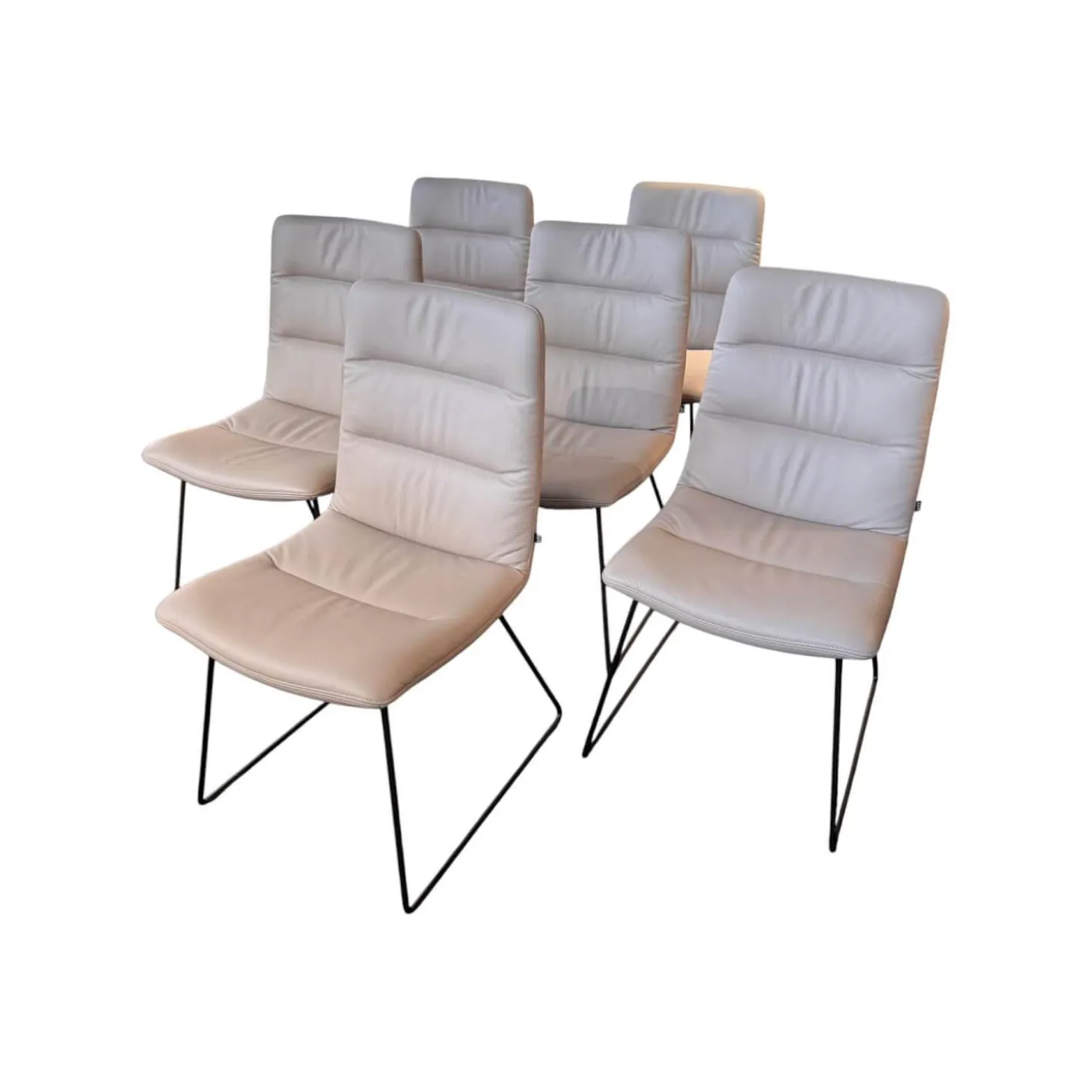 6er Set Stuhl Arva Light Leder Belo Horizonte Steingrau 1651 Grau Drahtkufengestell Macadamia M11 Braun