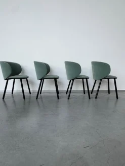 4er Set Stuhl Dua Stoff Erimiti Regal E036 Grün Grau Gestell Holz Schwarz Lackiert