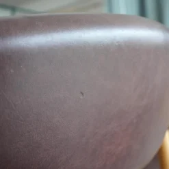 6er Set Stuhl Gent Leder Kastanienbraun Gestell Eiche Geölt