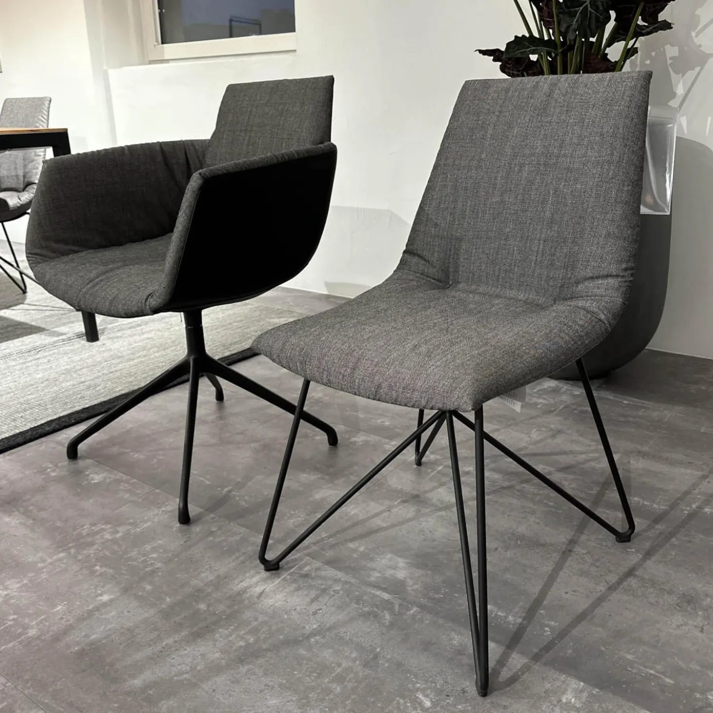 6er Set Stuhl Lui Und Grand Lui Bezug Stoff Canvas 154 Grau Außen Leder Origon Schwarz 70240 Drahtgestell Schwarz Matt Pulverbeschichtet