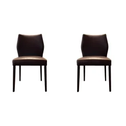 2er Set Stuhl Toga Leder Genuin Mokka Braun Füße Buche Wenge Gebeizt