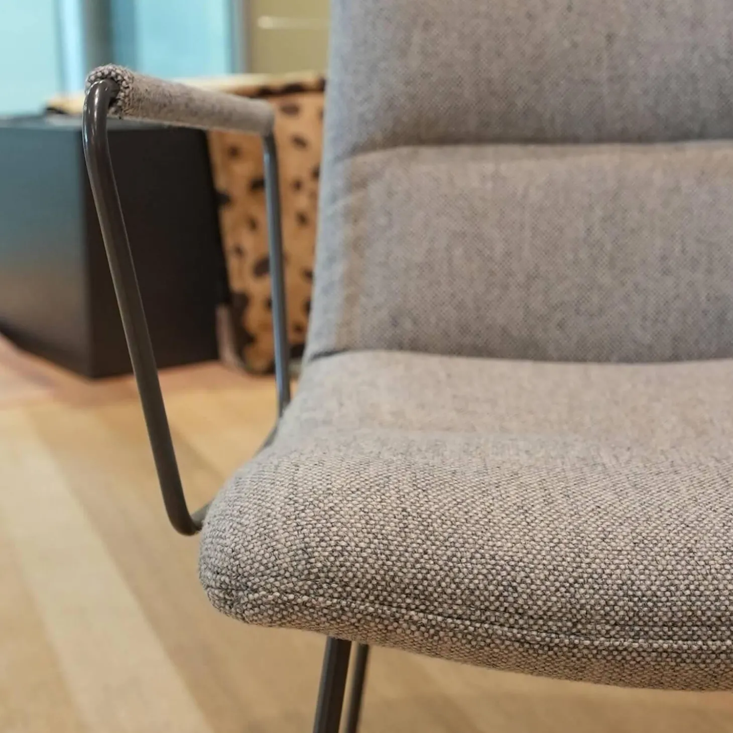 6er-Set Armlehnstuhl Arva Light Bezug Stoff Hallingdal 116 Grau Drahtkufengestell Eisenblank Einschichtlack