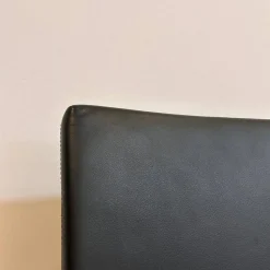 Freischwinger George 1572 Leder Congress 251 Black Schwarz Gestell Rundrohrstahl Hochglanz Verchromt