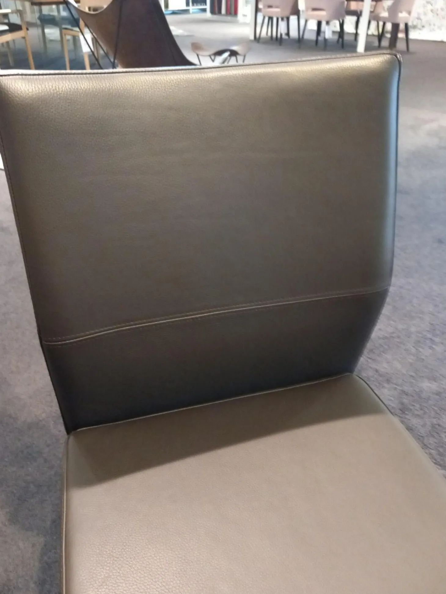 Freischwinger Katy 3 Leder Toledo Braun Gestell Edelstahl Gebürstet