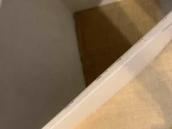 Highboard Soma Weiß Kernnussbaum Lemon