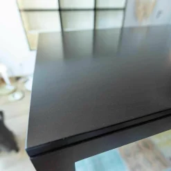 Hochtisch Buche Gebeizt Wenge HG 110 Seidenmatt