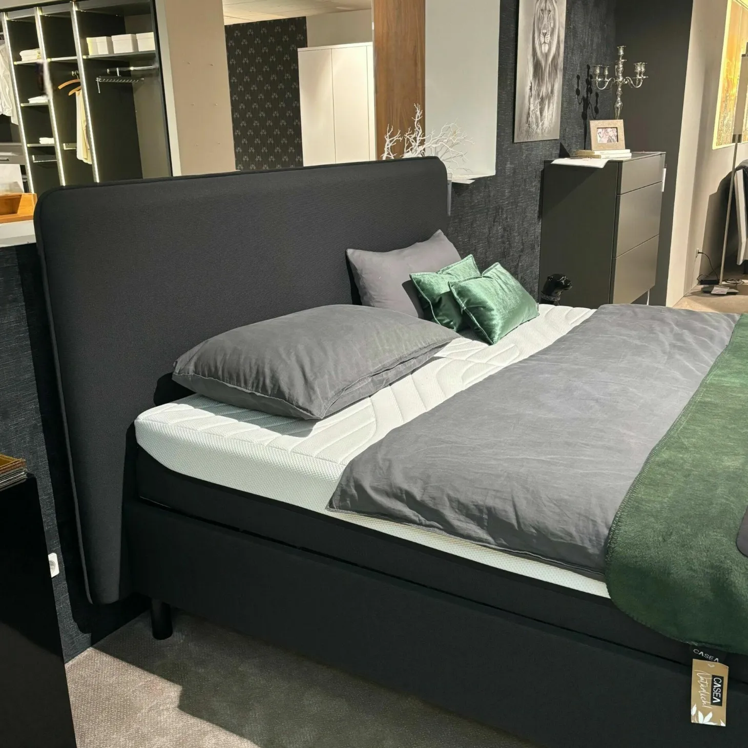 Polsterbett 83020173 Arc Static Disc Textilgewebe Charcoal Grey Grau Füße Eiche Schwarz Matt Lackiert Kopfteil Sensory Ohne Matratze Ohne Lattenrost