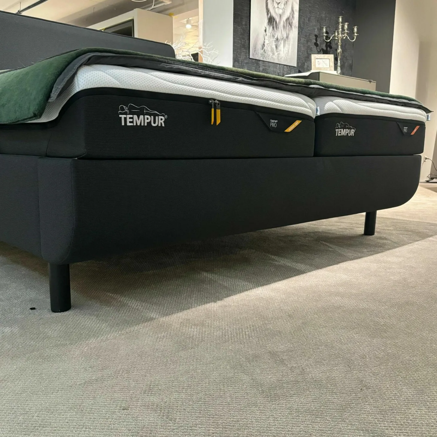 Polsterbett 83020173 Arc Static Disc Textilgewebe Charcoal Grey Grau Füße Eiche Schwarz Matt Lackiert Kopfteil Sensory Ohne Matratze Ohne Lattenrost