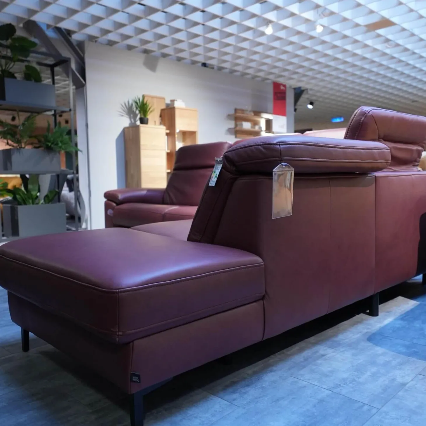 Polstergarnitur 4054 Leder 60 Rodeo Barolo Fuß Metall Schwarz