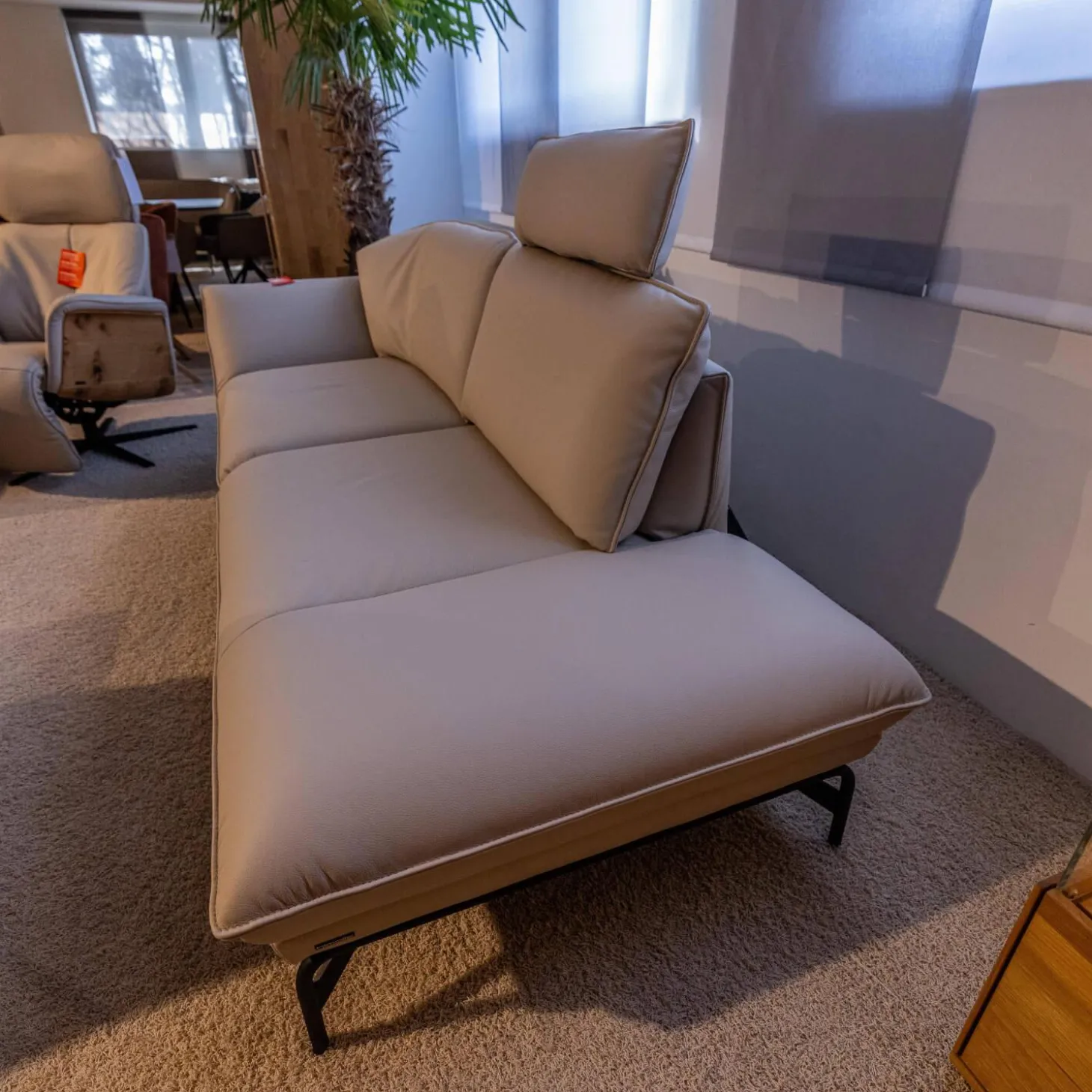 Polstergruppe Nova 1378 Bezug Leder 24 Longru Nebel Beige Grau Füße Anthrazit Pulverbeschichtet