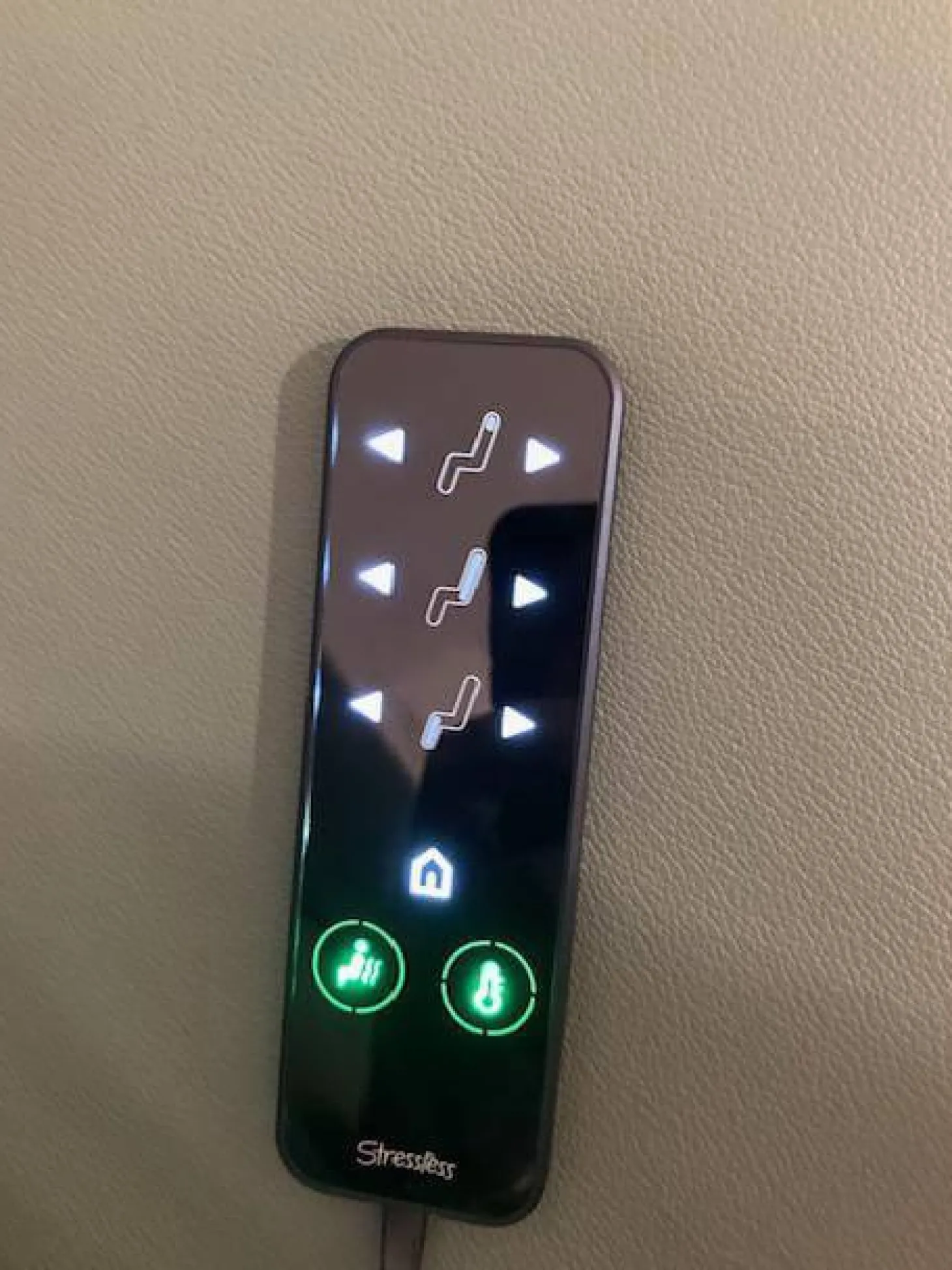 Relaxsessel Sam Leder 94 Paloma Fog 37 Grün mit elektrischer Relaxfunktion