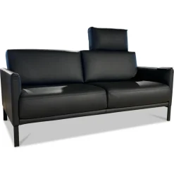 Rolf Benz Sofa Cara Leder 38.110 Schwarz Spange Stahl Schwarz
