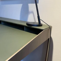 Schreibtisch Twain Leder Birke 816 Dunkelgrün Gestell Stahl Messing F33 Ohne Stuhl