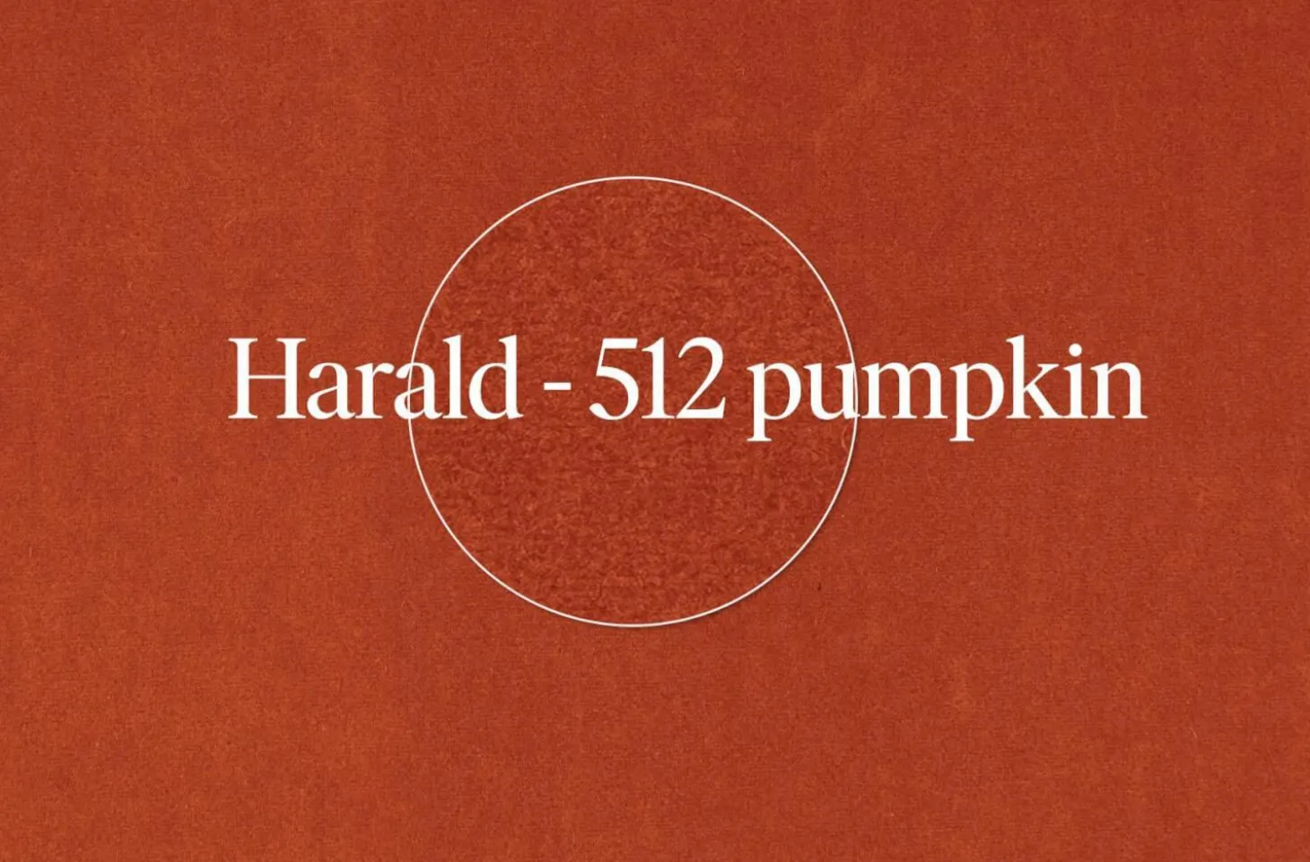 Sessel Bao Außen Leder Seddle Coffee Schwarz Innen Stoff Samt Harald Pumpkin Orange Drehteller Schwarz