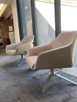 Sessel DS 278-01 Leder Naturale Taupe Crème-Beige Vier-Sternfuss Taupe Lackiert Drehbar