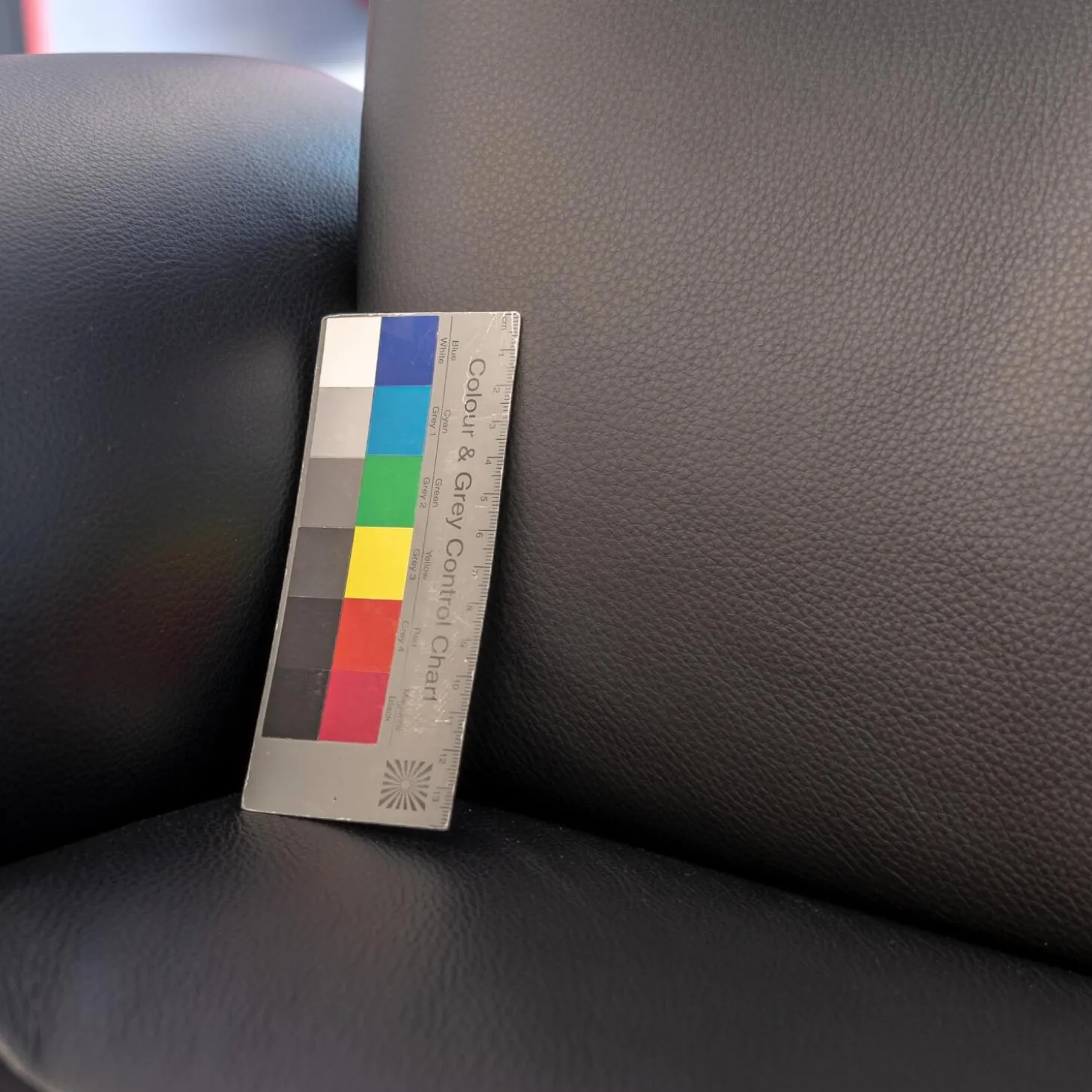 Sessel Master Leder Fantasy Schwarz 2514-89 X-Fuß Aluminium