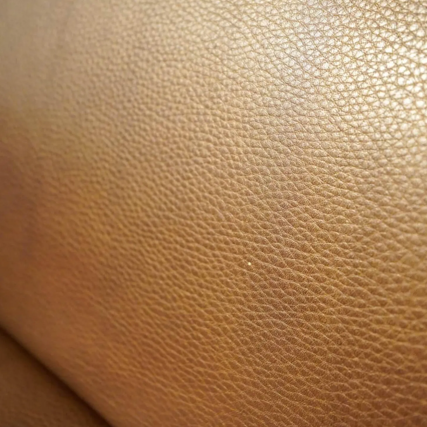 Sessel Nasa Leder Rustical Braun Gestell Edelstahl