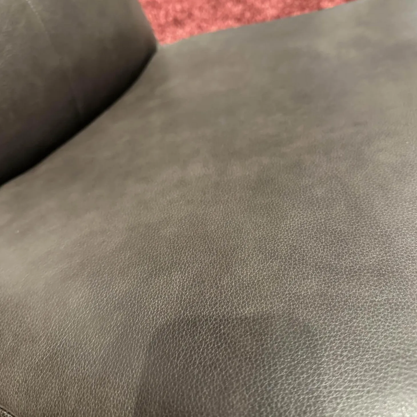 Sessel Viola Bezug Leder Granada Graphit 2 Grau Flaches Kreuzgestell Schwarz Motorisiert