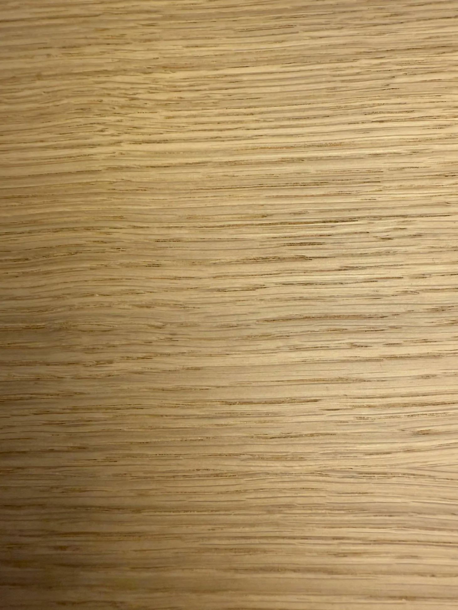 Sideboard Nex Eiche mit 2 Drehtüren Innen P51 Cool Grey