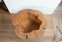 Skulptur Bowl Elm Ulme