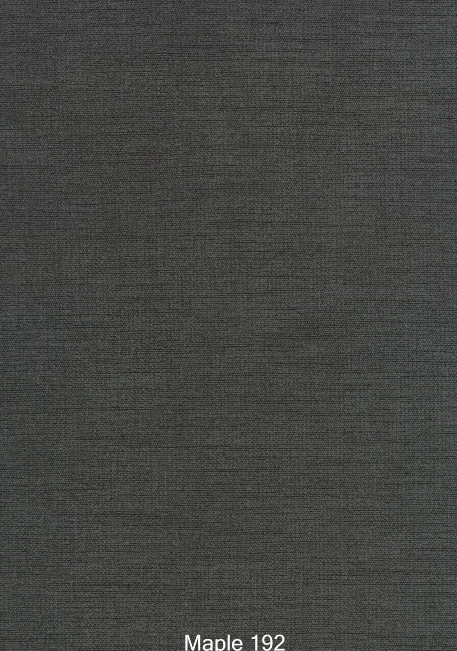 Sofa Domino Inklusive Rollelement Hauptstoff Maple 192 Grau Fuß Kunststoff