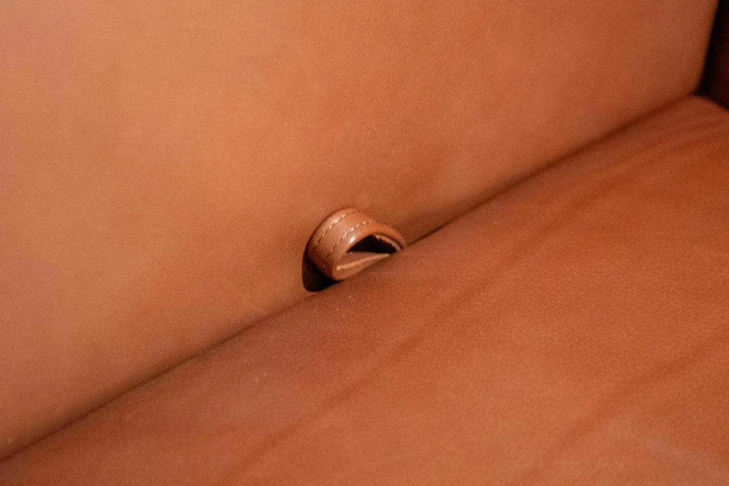 Sofa Glove Pure Leder Lolita Cognac Braun Gestell Bronze Matt Pulverbeschichtet