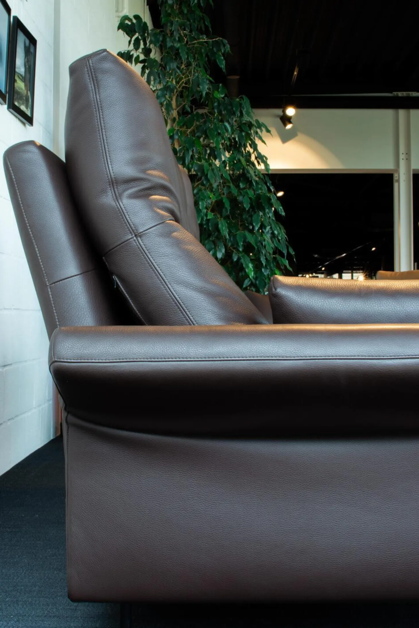 Sofa Nido Bezug Leder Sierra Braun Mit 2 Verstellbaren Rückenkissen Inkusive 2 Armkissen