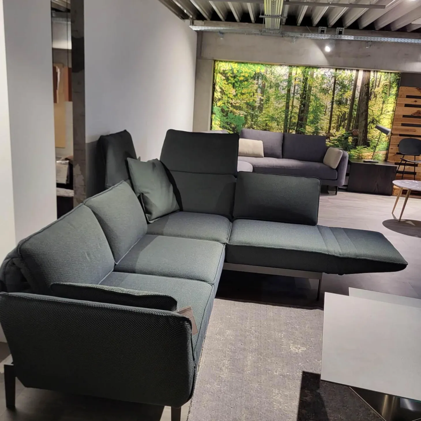 Sofa Stoff 24 516 Flaschengrün Grün Grau Gestell Stahl Feinstruktur RAL 7022 Umbragrau Pulverbeschichtet Matt