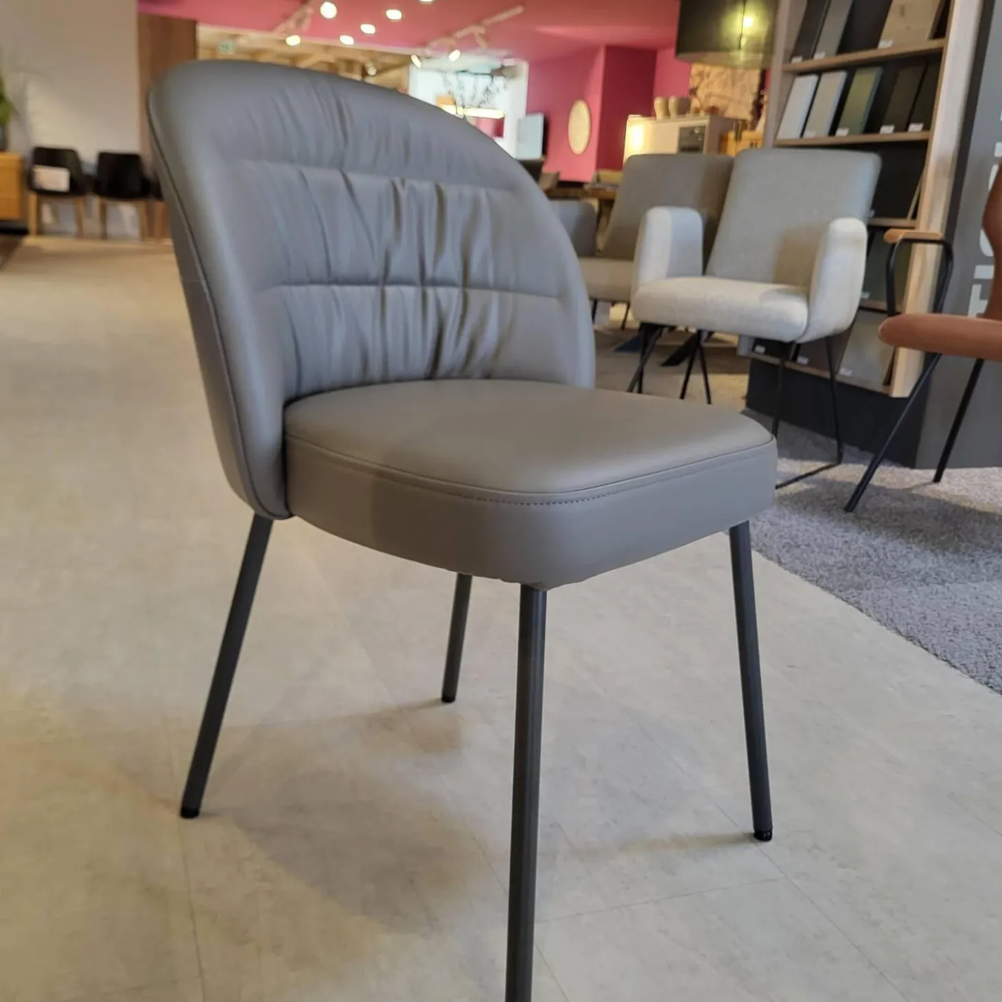 Stuhl Noa 690 Rolf Benz Leder 36 Mittel Quarzgrau Füße Umbragrau Lackiert