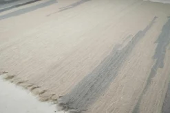 Teppich Individual 200x300 Reine Schurwolle Blauton