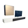 TV Kombination Ameno Korpus Lack Black Schwarz Front Glas Metallic Bronze Und Stoff Carbon Glas Snow Weiß