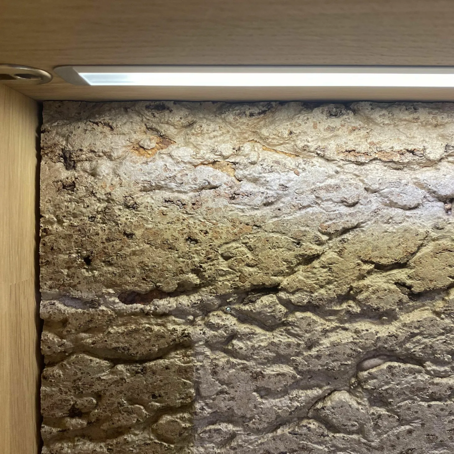 Vitrine Cartago Soft Wildeiche Bianco Glastür Links mit LED-Beleuchtung