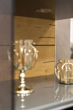 Vitrine Gentis Lack-Grau Akzent Eiche Naturstamm