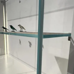 Vitrine Soma Innen Lack Weiß Türen Glas Klar Außen Glas Weiß Glänzend