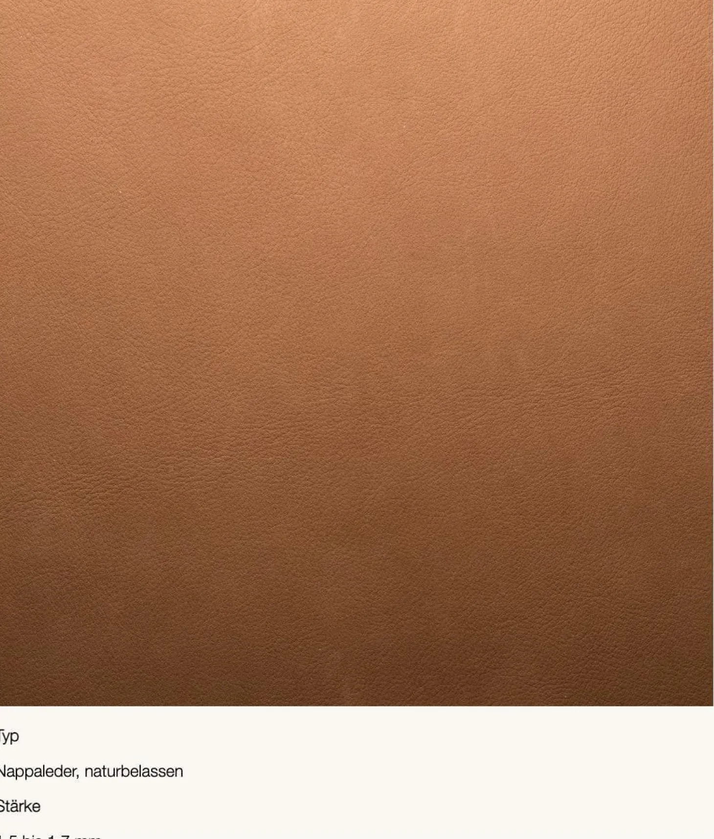 Wohnlandschaft Sofa DS 600 Snake Nappaleder Naturale Cuoio Braun Aus Einzelnen Addierbaren Elementen