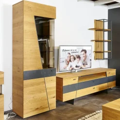 Wohnwand 2021 Vollholz Wildeiche Furniert Mattlack Beton Grau Griffe Und Füße Metall Effektlack Matt Grey Grau Glas Parasolglas Braun Mit Beleuchtung