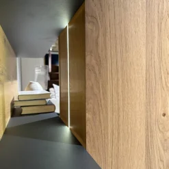 Wohnwand 2004 Wildeiche Rustiko Schwarz Und Echtholzfurnier Griff Aluminium Anthrazit Mit Beleuchtung