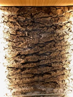 Wohnwand Kitzalm Solid Plus K050 Kernasteiche Natur Furniert Gebürstet Akzentglas Schiefer Grau Inklusive Beleuchtung