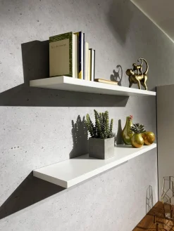 Wohnwand Neo Kernnussbaum Und Lack Reinweiss Mit Hinterlackiertem Glas Inklusive Beleuchtung